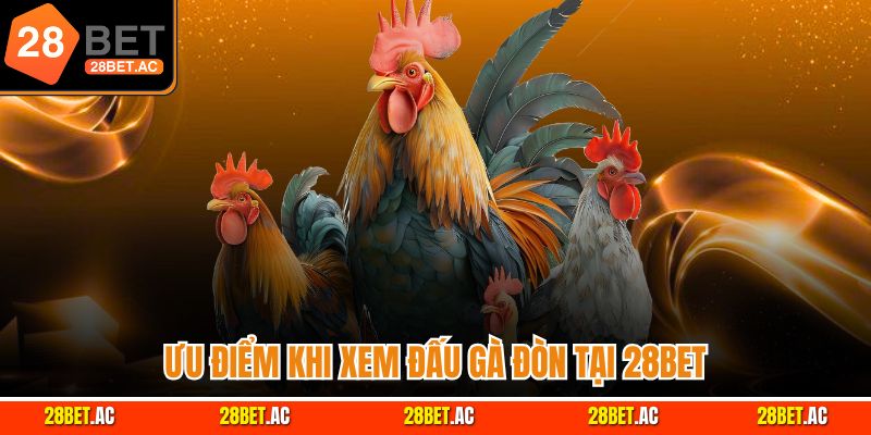 Ưu điểm khi xem đấu gà đòn tại 28Bet